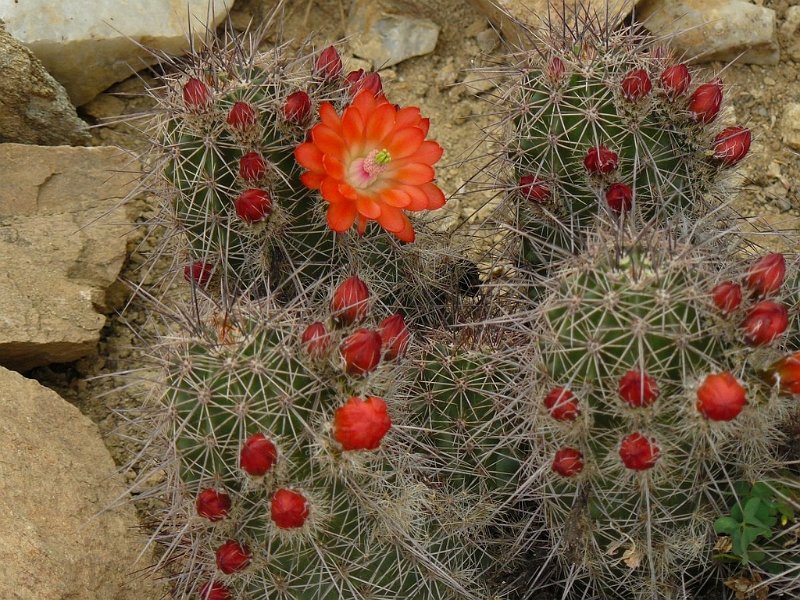 2008 05 Séjour à Martel 05